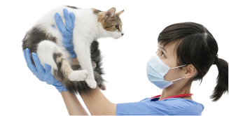 veterinary services abu dhabi